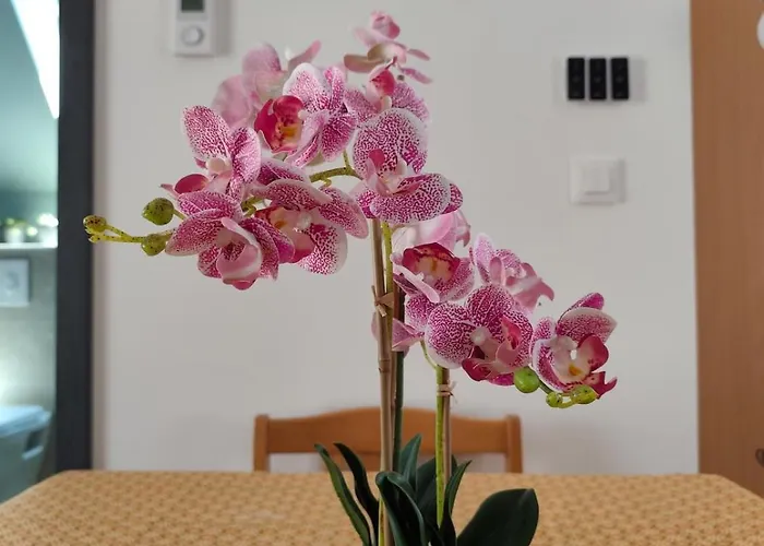 Apartment Ban Chailai